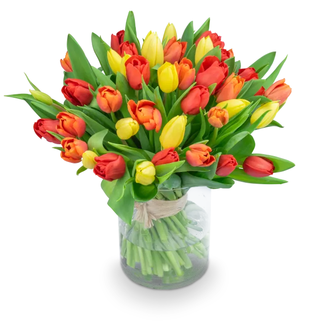 Kytice tulipánů